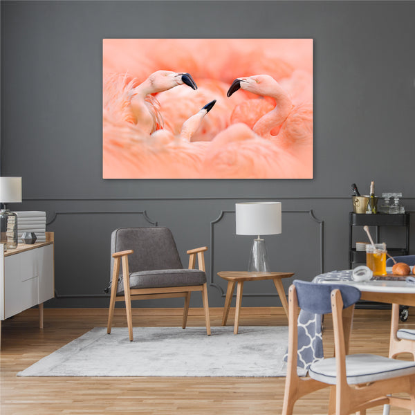 Flamingos