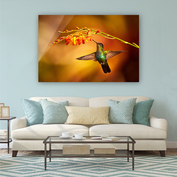 Autumn Hummingbird