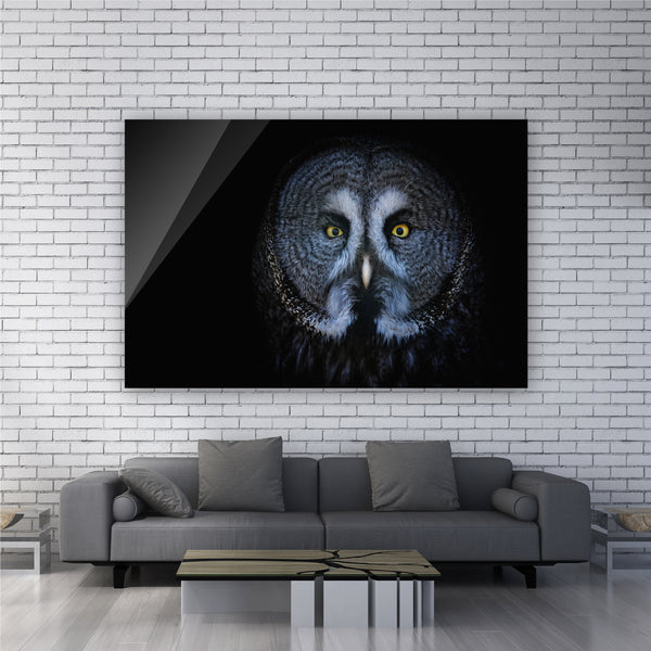 Dark Owl