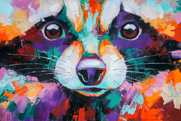 Colourful Racoon