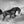 Load image into Gallery viewer, Galloping Horses
