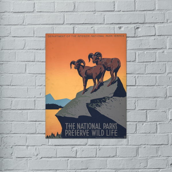 Semi-Gloss Poster Print USA National Park