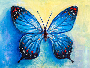 The Blue Butterfly - Artbox Printers