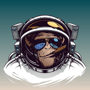 The Monkey Astronaut - Artbox Printers